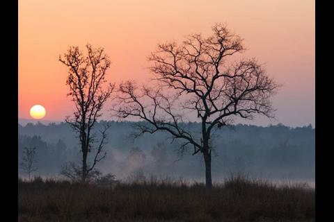 sunrise-kanha-national-park-india